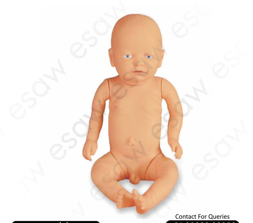 New Born Baby Model (Male) – Life-Size Infant Simulation for Clinical & Nursing Training