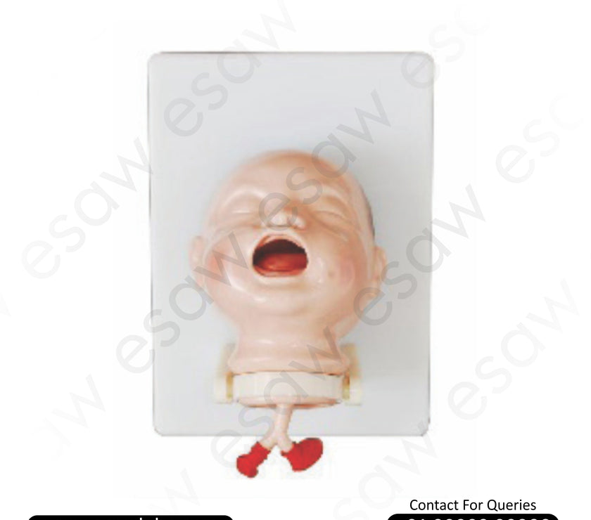 Newborn Intubation Training Model – Neonatal Airway Management Simulator | ESAW India