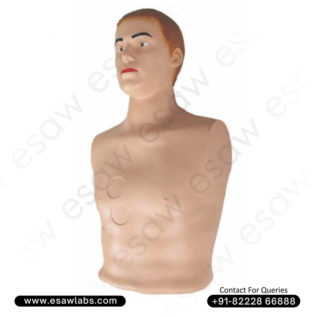 Pericardial Puncture & Intracardiac Injection Simulator – High-Fidelity Medical Training Manikin | ESAW India