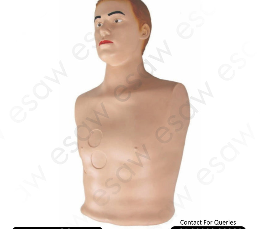 Pericardial Puncture & Intracardiac Injection Simulator – High-Fidelity Medical Training Manikin | ESAW India