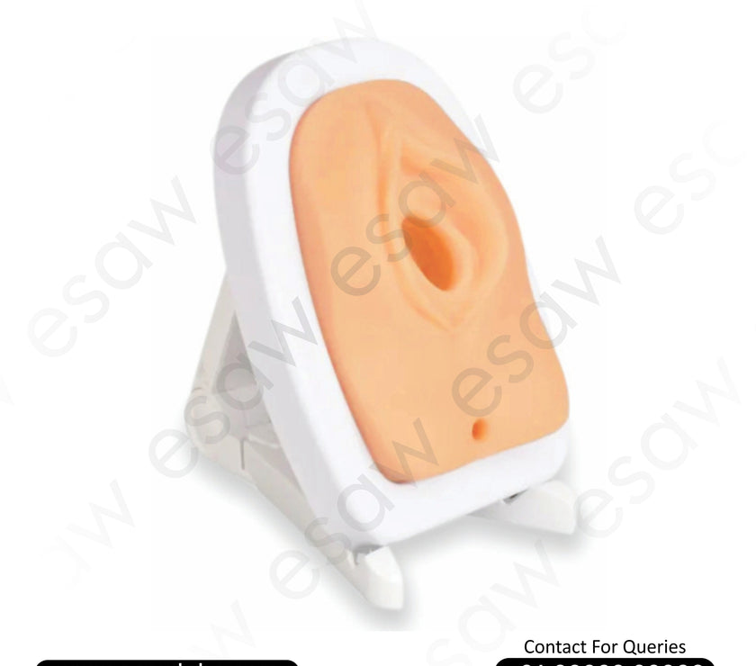 Perineum Cutting and Suturing Training Simulator – Female Episiotomy Practice Model