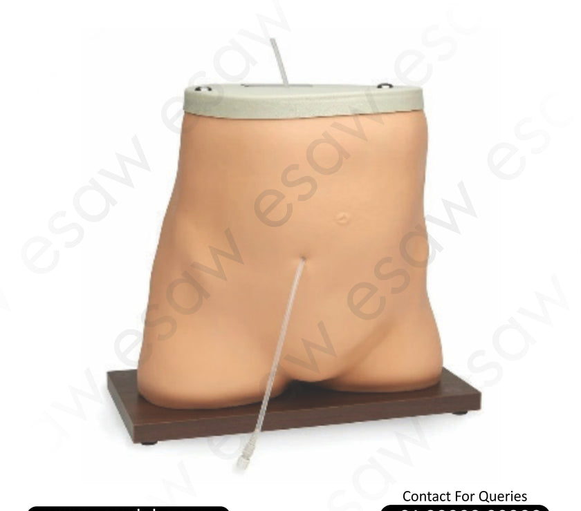 Peritoneal Dialysis Simulator – CAPD Training Torso for Students, Nurses & Patients