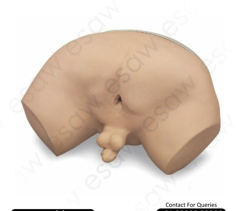 Prostate Examination Simulator – Diagnostic Training Model for Prostate Carcinoma | ESAW India