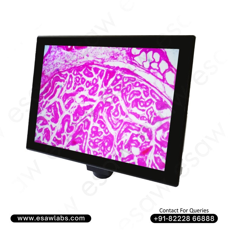 Image ALT Tags (SEO-Focused):

"ScopePad Microscope Tablet for Real-Time Lab Imaging"

"Educational Lab Equipment ScopePad Display for Students"

"Best ScopePad for Science Labs and Chemistry Classrooms"

"Affordable ScopePad Microscope Tablet India for Teaching"