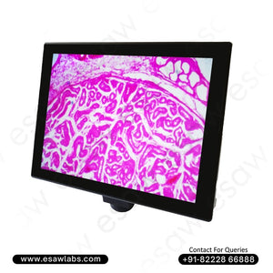 Image ALT Tags (SEO-Focused):

"ScopePad Microscope Tablet for Real-Time Lab Imaging"

"Educational Lab Equipment ScopePad Display for Students"

"Best ScopePad for Science Labs and Chemistry Classrooms"

"Affordable ScopePad Microscope Tablet India for Teaching"