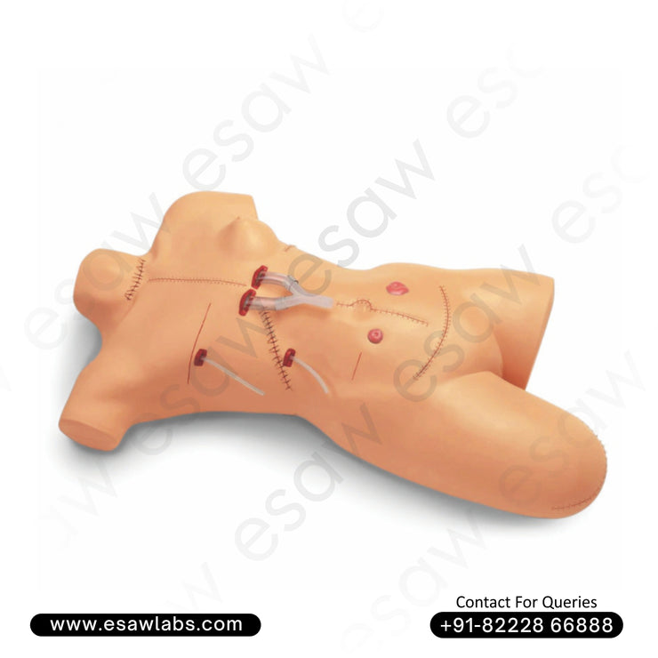 Surgical Suture and Bandaging Model – Advanced Wound Care and Surgical Incision Practice Simulator