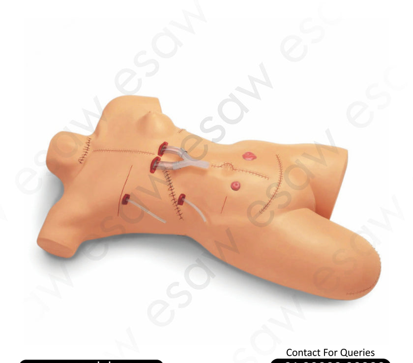Surgical Suture and Bandaging Model – Advanced Wound Care and Surgical Incision Practice Simulator