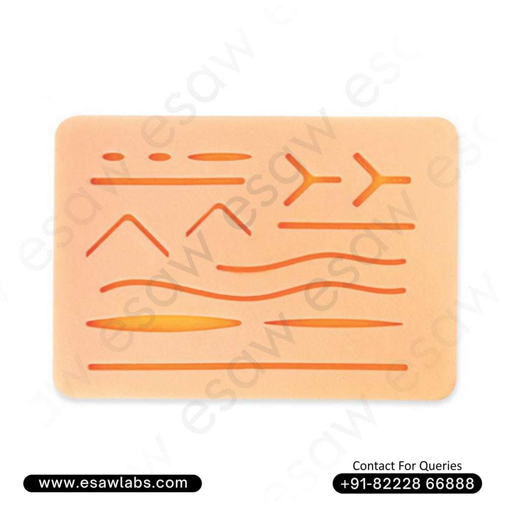 Suture Practice Pad – 3-Layer Realistic Skin Simulation for Medical &amp; Nursing Training | ESAW India