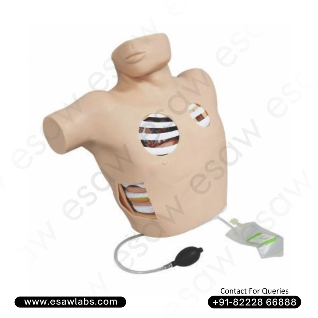 Thoracentesis Drainage Simulator – Advanced Pleural Drainage &amp; Pneumothorax Training Model