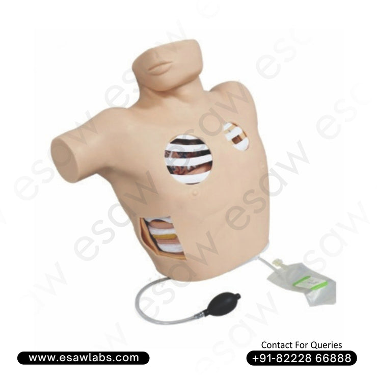 Thoracentesis Drainage Simulator – Advanced Pleural Drainage &amp; Pneumothorax Training Model