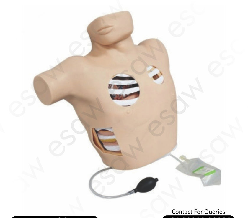 Thoracentesis Drainage Simulator – Advanced Pleural Drainage &amp; Pneumothorax Training Model