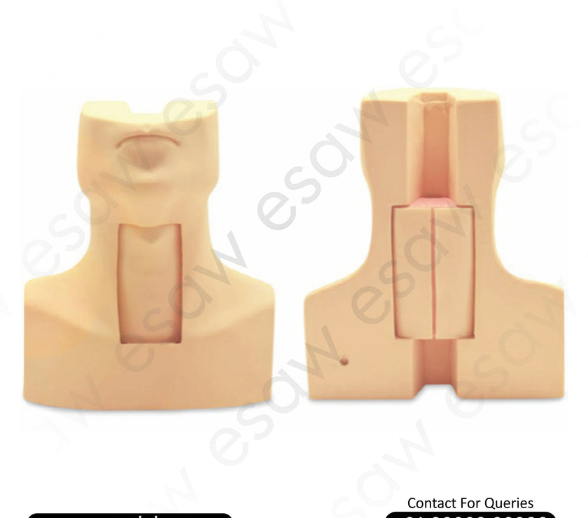 Tracheostomy Simulator – Surgical Airway Management Trainer | ESAW India