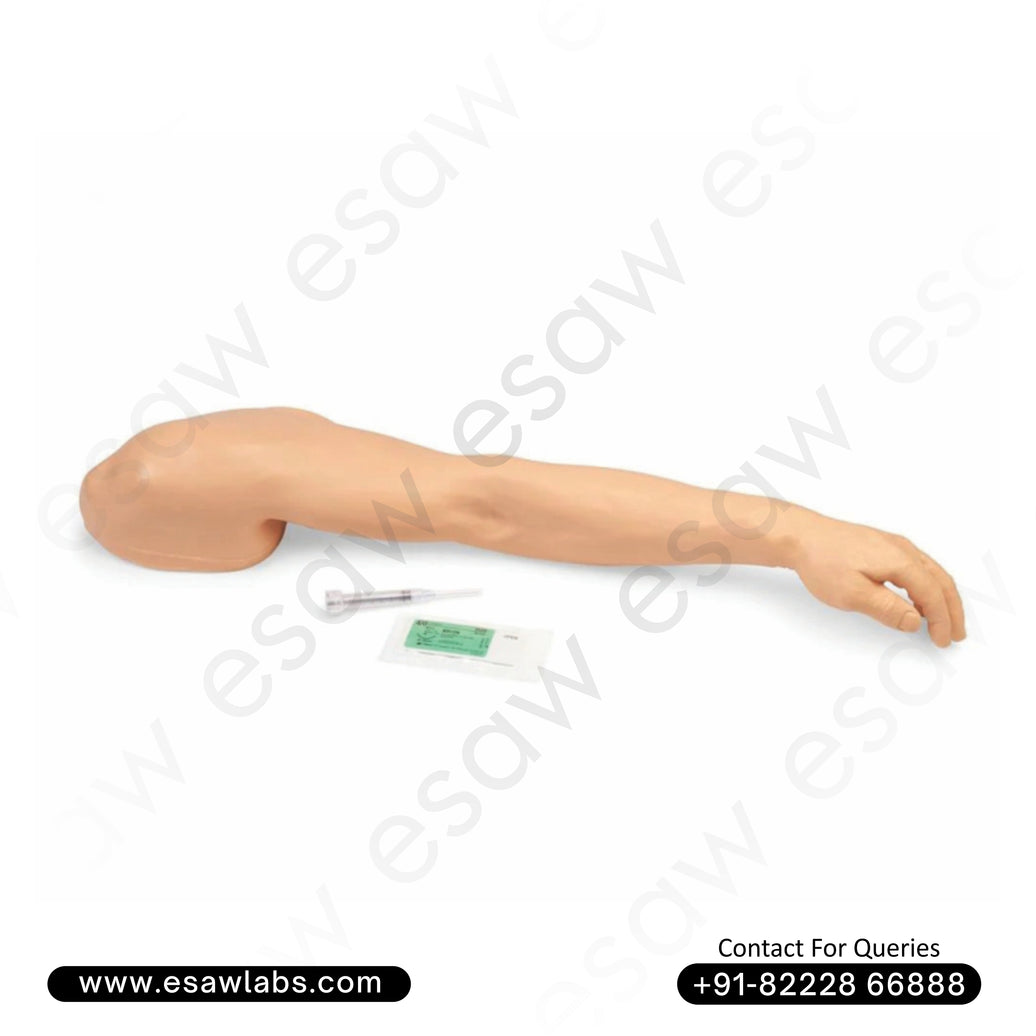 Venipuncture and Intramuscular Injection Arm – Advanced Medical Training Model