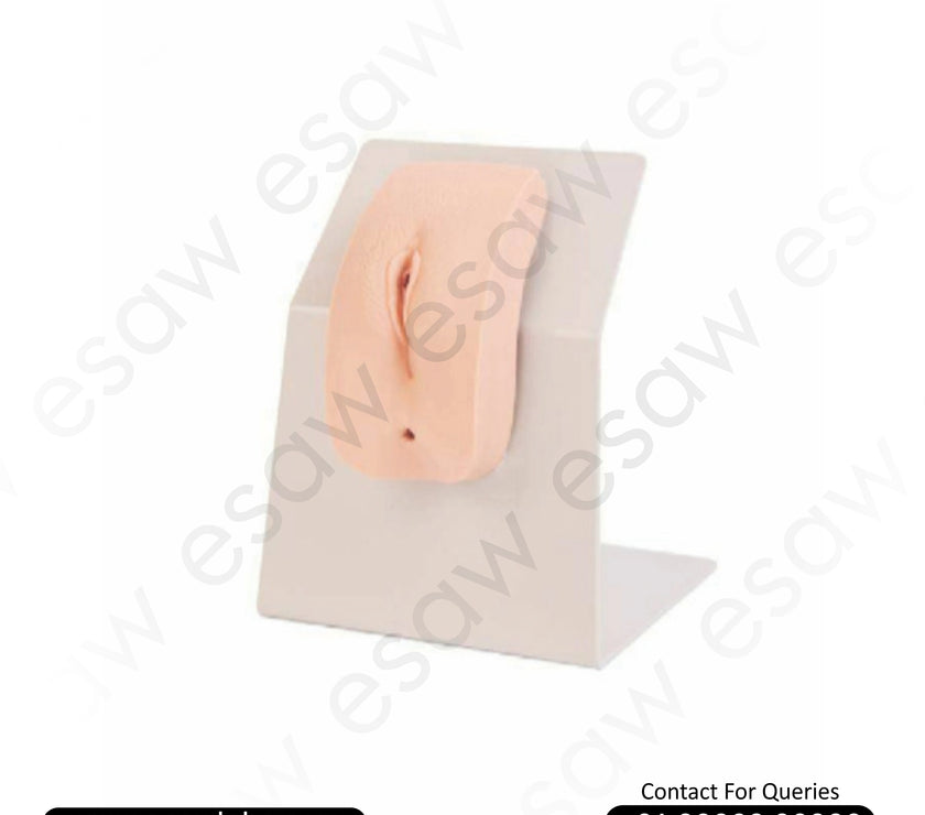 🖼 Image ALT Tags:

"Full Size Human Skeleton Model for Medical Colleges"

"Anatomical Skeleton Teaching Model on Stand"

"Export Quality Skeleton Model for Biology Labs"