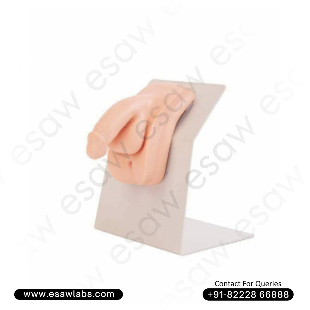 Wearable Male Urethral Catheterization Simulator | ESAW India