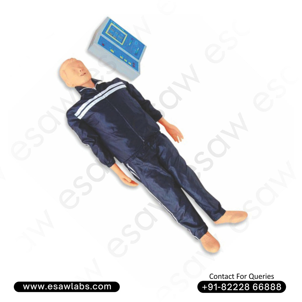 Whole Body CPR Training Manikin with Monitor and Printer – Advanced Adult Simulation for Comprehensive CPR Training