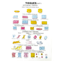 🖼 Image ALT Tags:

"Zoology Series II Comparative Animal Model Set"

"Educational Zoology Models for Biology Labs"

"Export Quality Animal Anatomy Models – ESAW India"